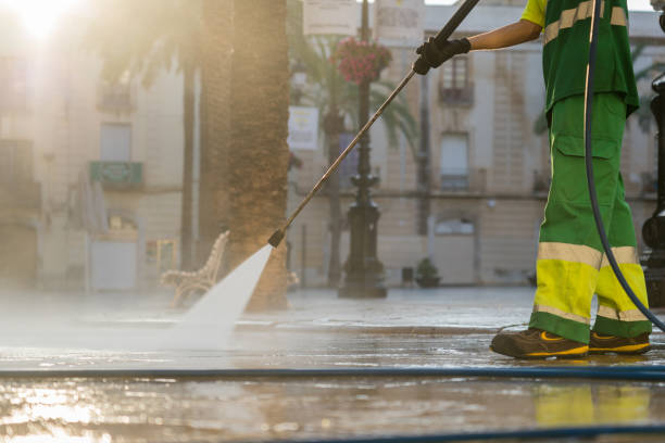 Best Dumpster Area Cleaning  in Hartley, IA
